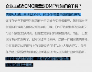 DMP的发展前景及对高层领导的要求