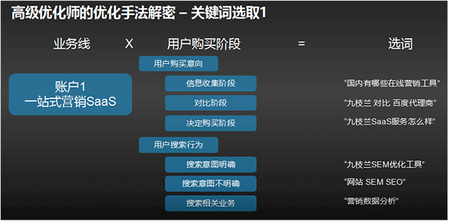 九枝兰SEM优化工具解析