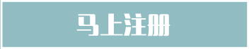 sem优化工具