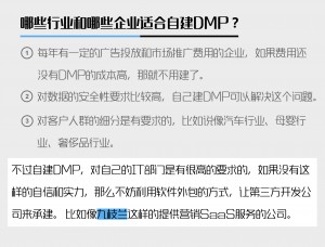 DMP自建的适用范围和好处