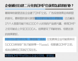 DMP自建的适用范围和好处