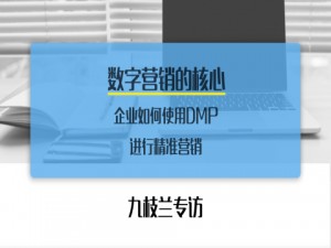 九枝兰专访：数字营销的核心—企业如何使用数据管理平台（DMP）进行精准营销