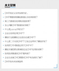 九枝兰专访：数字营销的核心—企业如何使用数据管理平台（DMP）进行精准营销