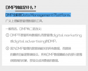 dmp的定义及其发展历史